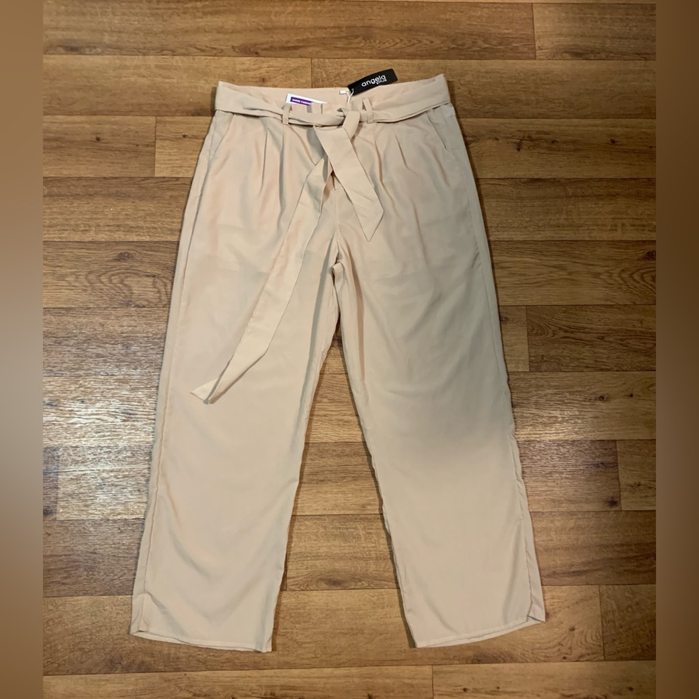 Tan Silk Polyester Dress Pants